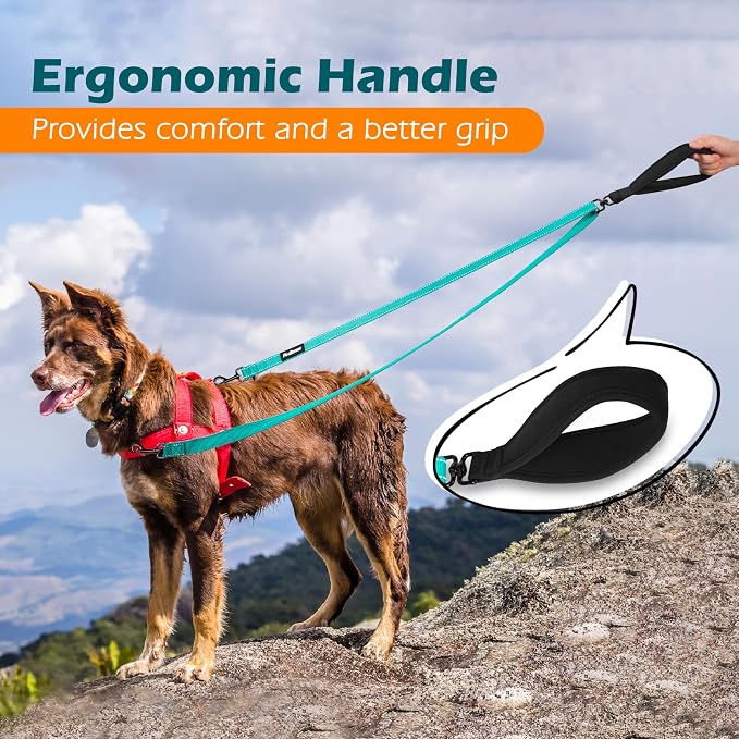 PetBonus Two Point Control Dog Leash, No Tangle Training Walking Leashes | Soft Padded Handle, Reflective, Works with No Pull Harnesses, Converts to Single Lead for Medium Large Dogs, Turquoise - Image 5