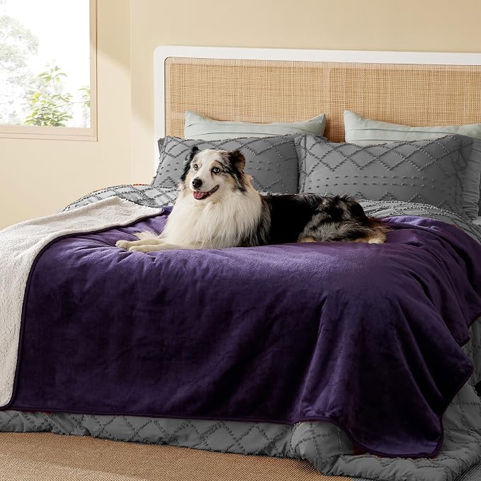 Bedsure Waterproof Blanket for Bed Soft Sherpa Fleece Throw,Twin 80"x60" | Plush Cozy Calming Reversible Dog Blankets for Large Senior Dogs,Warm Bed Couch Cover,Pet Furniture Protector,Eggplant by Unknown