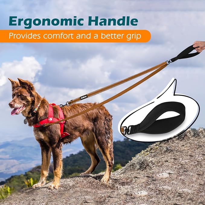 PetBonus Two Point Control Dog Leash, No Tangle Training Walking Leashes | Soft Padded Handle, Reflective, Works with No Pull Harnesses, Converts to Single Lead for Medium Large Dogs, Brown - Image 5