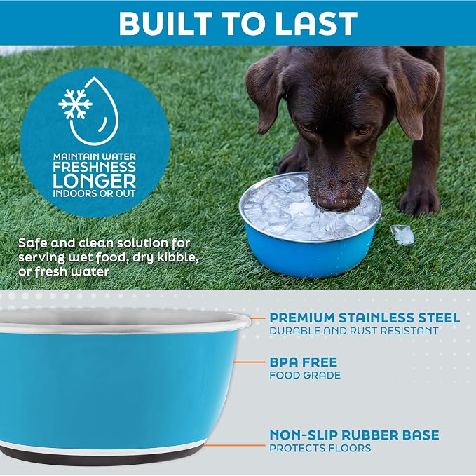 Master Pet Supply Stainless Steel Dog Bowls Set of 2 - True Blue - 16 Oz | Non-Slip Rubber Base, Basic Dog Food Bowl Water & Food Bowls for Small, Medium, Large Dogs & Cats Metal Dish - Image 3