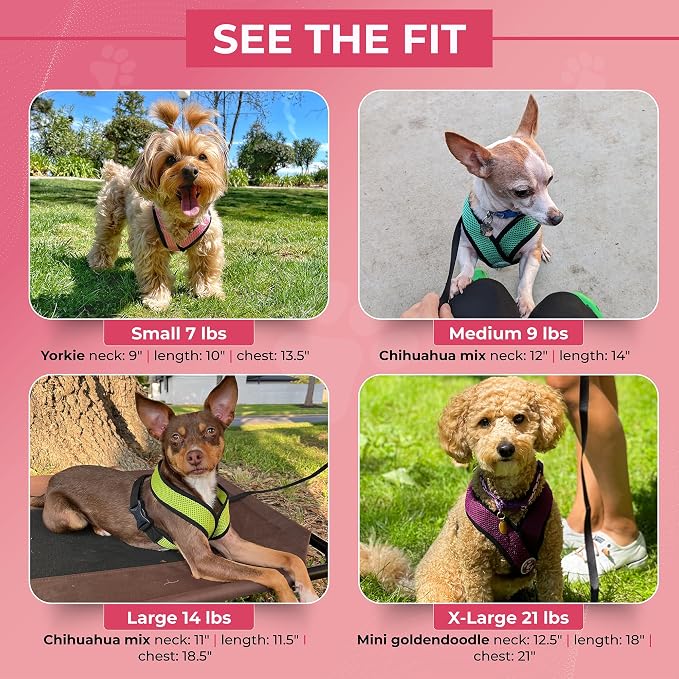 Gooby Comfort X Head-in Dog Harness, Choke-Free, Orange, Large | Patented choke-free X-frame; Secure head-in fit; Lightweight breathable mesh; Back metal D-ring; Machine washable - Image 4