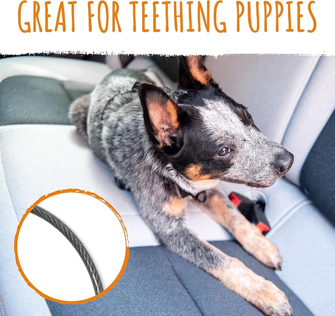 Mighty Paw Dog Seat Belt Vehicle - Chew-Proof Dog Belt - Great for Teething Puppies - Latch Bar Attachment Like Child's Car Seat - Aviation Aluminum Carabiner - Strong Enough for Climbers - 850+ LB - Image 3
