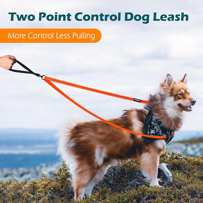 PetBonus Two Point Control Dog Leash, No Tangle Training Walking Leashes | Soft Padded Handle, Reflective, Works with No Pull Harnesses, Converts to Single Lead for Medium Large Dogs, Orange - Image 2