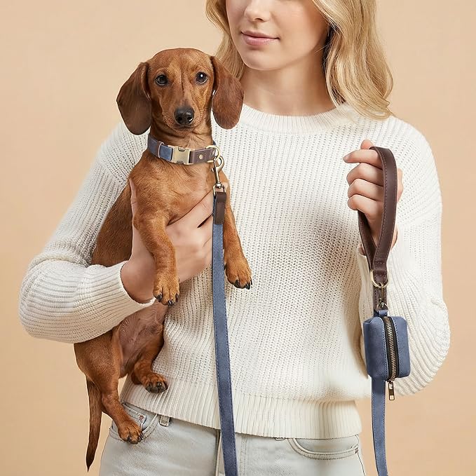 PU Leather Dog Leash for Small Dogs, 5ft Soft Padded Handle, Blue | Comfortable Grip for Daily Walking Training, Full Control, Metal D-ring, Tangle-Free 360° Swivel Clasp, Easy to Clean, 5/8in - Image 2