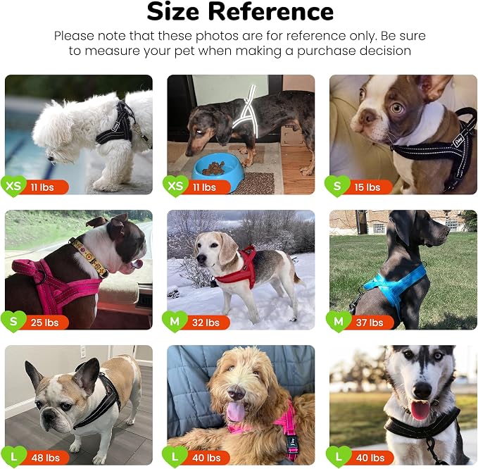 No Pull Dog Harness for Small Dogs, Breathable Mesh, Hot Pink, XS | Quick Fit, Easy On and Off, Lightweight, Reflective Vest Harness for Night Safty, Easy for Walking and Training, Chest 15-18" - Image 7