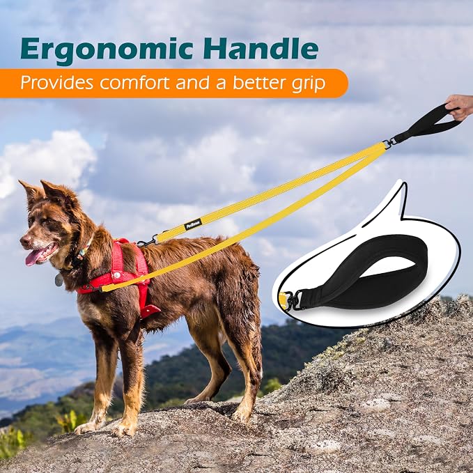 PetBonus Two Point Control Dog Leash, No Tangle Training Walking Leashes | Soft Padded Handle, Reflective, Works with No Pull Harnesses, Converts to Single Lead for Medium Large Dogs, Yellow - Image 5