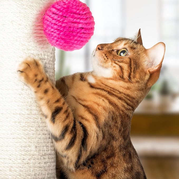 17-Inch Cat Scratching Post - Sisal Rope and Carpet Scratching Pole with Bright Pink Hanging Ball Toy for Adult Cats and Kittens by PETMAKER (Gray) - Image 5