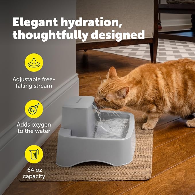 PetSafe Oasys Pet Fountain, 1/2 Gallon, Cats & Small Dogs, 4-Pack Filters | Adjustable Flow Control, Open Bowl, Whisker-Friendly Tray, Replaceable Carbon & Foam Filters Included - Image 4