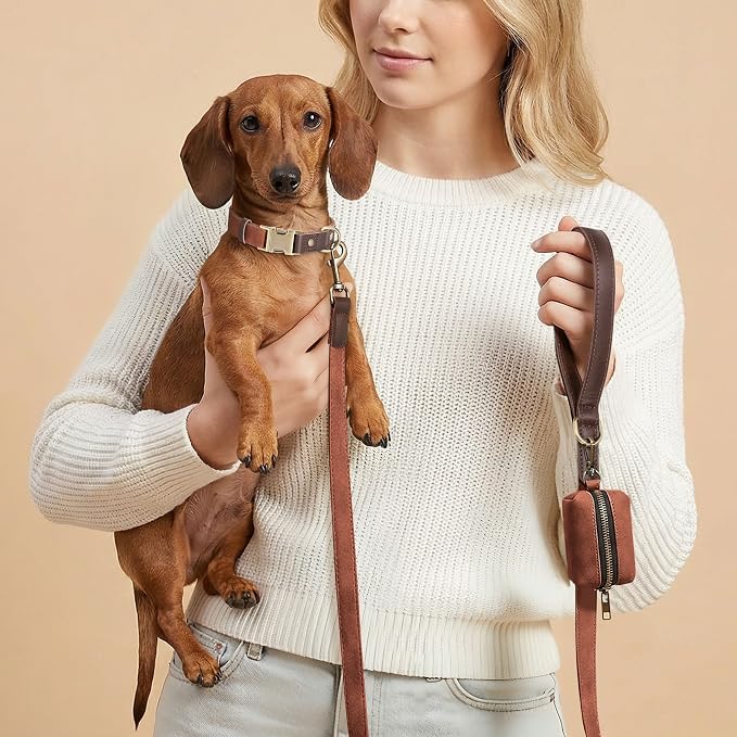 PU Leather Dog Leash for Small Dogs, 5ft Soft Padded Handle, Brown | Comfortable Grip for Daily Walking Training, Full Control, Metal D-ring, Tangle-Free 360° Swivel Clasp, Easy to Clean, 5/8in - Image 2