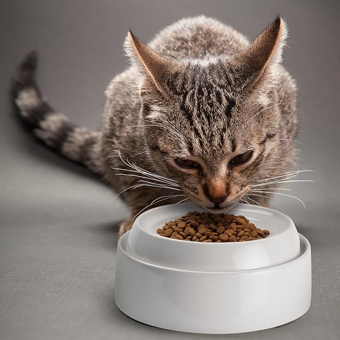 CatGuru Cat Bowls, Whisker Friendly Food Bowl for Indoor Cats, Reliefs Whisker Fatigue, Wide Kitten Dish, Non Slip Pet Dishes, Shallow Pet Plates (Ceramic (Pack of 2)) - Image 6