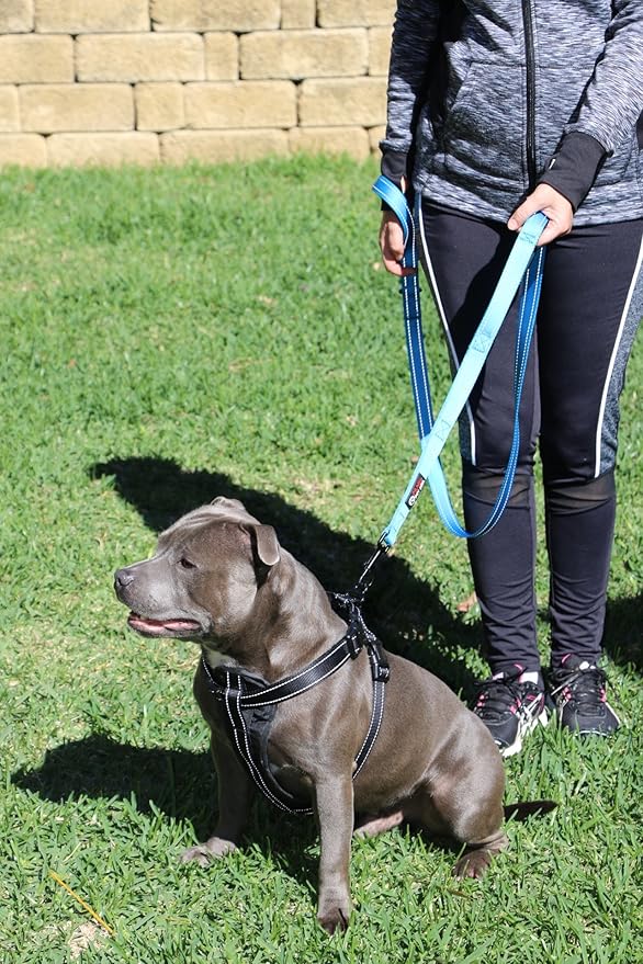 Dog Leash 6ft Long,Traffic Padded Two Handle,Heavy Duty,Reflective Double Handles Lead for Control Safety Training,Leashes for Large Dogs or Medium Dogs,Dual Handles Leads(Blue) - Image 4