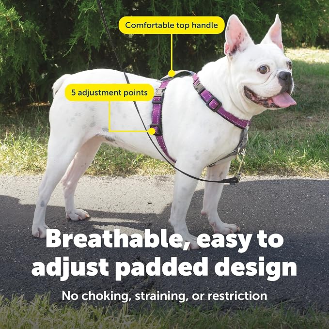 PetSafe 3 in 1 Dog Harness - No Pull Solution for Dogs - Reflective Dog Harness - Front D-Ring Clip Helps Stop Pulling - Comfortable Padded Straps - Top Handle Enhances Control - Plum - Small - Image 4