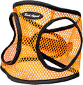 Bark Appeal Orange Netted Step-in Dog Harness for X-Large to 2X-Large Pets – Updated Sizing, Remeasuring is Essential – Soft Netted Mesh – Anti-Choke with Adjustable Strap & Heavy Duty Clip – XXL by BarkAppeal