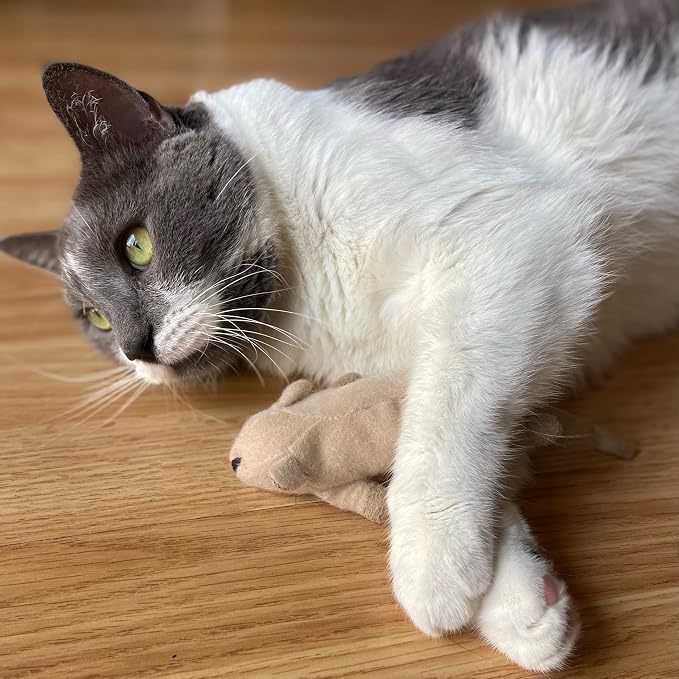 SPOT Flat Mouse Frankie with Catnip - Cat Toy, Fuzzy Mice with Catnip and Crinkle Sound, Perfect Size for Pouncing on, Chasing, Hunting - 5.5in Plush Toys, Assorted Colors - Image 10