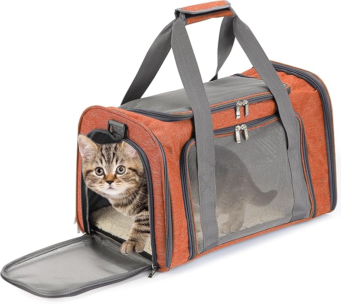 Mr. Pen- Pet Carrier, 17.5" x 11.2" x 11.5", Medium Size, Orange | Portable Travel Carrier for Small Pets, Cats & Small Dogs, Breathable Mesh, Safety Inner Leash by MrPen