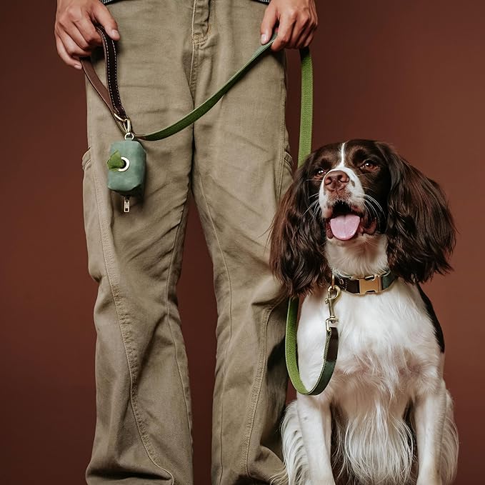 PU Leather Dog Leash for Medium Dogs, 5ft Soft Padded Handle, Green | Comfortable Grip for Daily Walking Training, Full Control, Metal D-ring, Tangle-Free 360° Swivel Clasp, Easy to Clean, 3/4in - Image 2