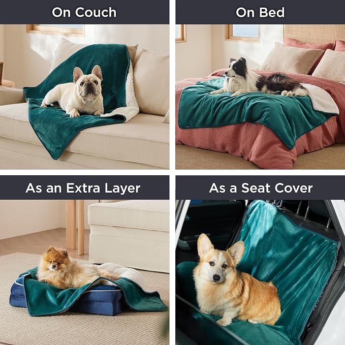 Bedsure Waterproof Blanket for Bed Soft Sherpa Fleece Throw,Twin 80"x60" | Plush Cozy Calming Reversible Dog Blankets for Large Senior Dogs,Warm Bed Couch Cover,Pet Furniture Protector,Green - Image 6