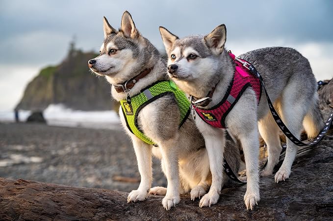 EcoBark Step in Dog Harness Reflective Soft Ultra Padded Mesh Dog Harnesses for XXS, XS, Small, and Medium Dogs Eco-Friendly Comfort Secure Halter No Pull Adjustable Pet Vest - Image 6