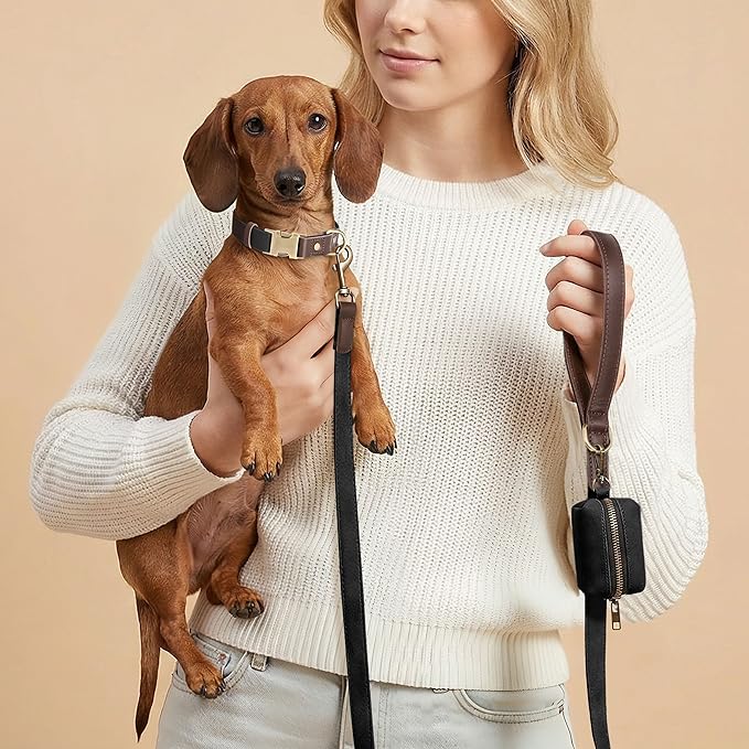 PU Leather Dog Leash for Small Dogs, 5ft Soft Padded Handle, Black | Comfortable Grip for Daily Walking Training, Full Control, Metal D-ring, Tangle-Free 360° Swivel Clasp, Easy to Clean, 5/8in - Image 2