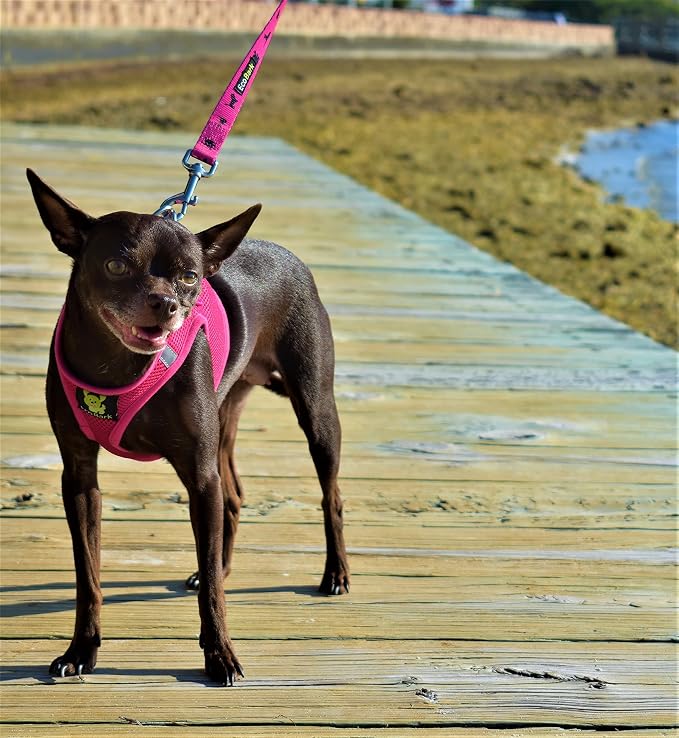 EcoBark Step in Dog Harness, Reflective & Adjustable Pink Vest, XXS | Eco Friendly Teacup Dog Harnesses for XXS, XS & Small Dogs, Mini Body Halter, Tiny Soft Mesh Toy Breed Dogs, Under 5 lbs - Image 7