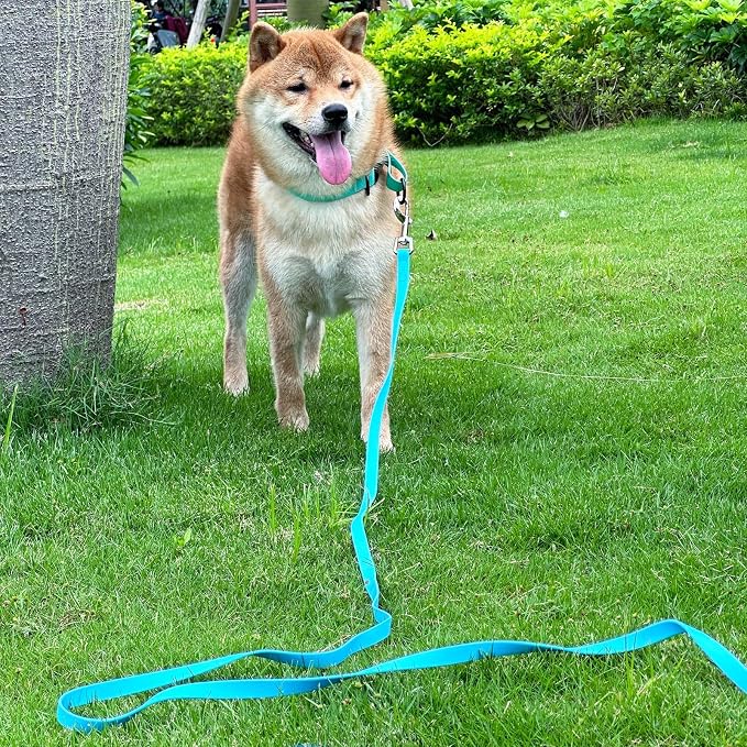 Waterproof Long Leash Durable Dog Recall Training Lead Great for Outdoor Hiking, Training, Yard, Beach and Swimming (Sky Blue, 15ft) - Image 6