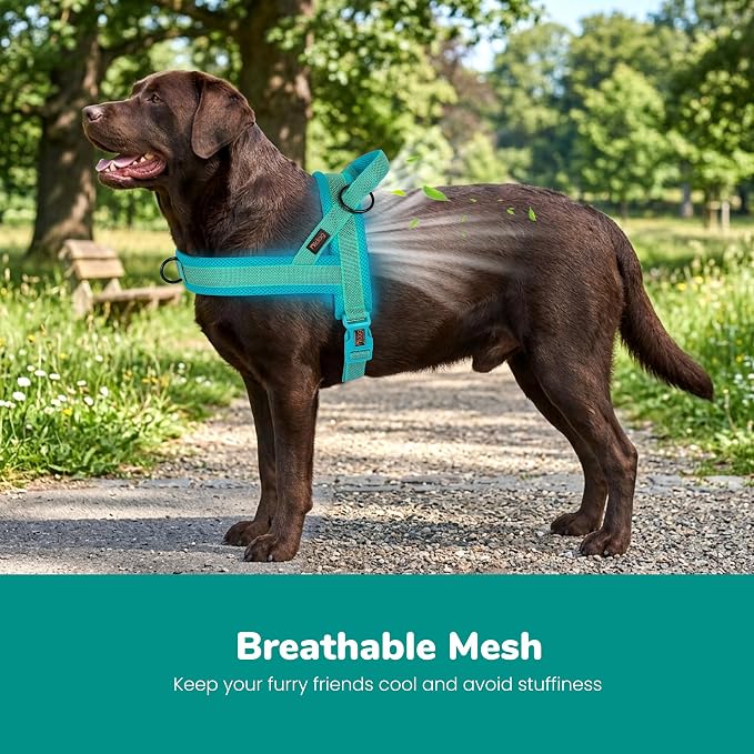 No Pull Dog Harness for Large Dogs, Breathable Mesh Padded, Green, L | Quick Fit, Easy On and Off, Adjustable, Reflective Vest Harness for Night Safty, Easy for Walking and Training, Chest 26-32" - Image 2