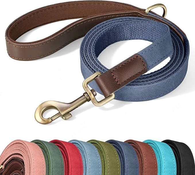 PU Leather Dog Leash for Small Dogs, 5ft Soft Padded Handle, Blue | Comfortable Grip for Daily Walking Training, Full Control, Metal D-ring, Tangle-Free 360° Swivel Clasp, Easy to Clean, 5/8in by Didog