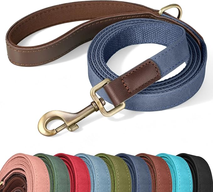 PU Leather Dog Leash for Medium Dogs, 5ft Soft Padded Handle, Blue | Comfortable Grip for Daily Walking Training, Full Control, Metal D-ring, Tangle-Free 360° Swivel Clasp, Easy to Clean, 3/4in by Didog