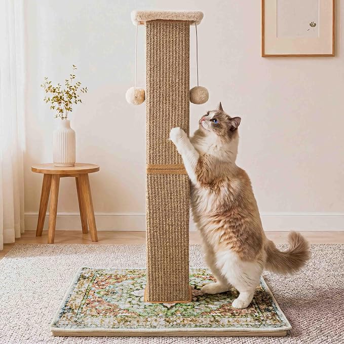 Tall Cat Scratching Post for Indoor Cats Adults with Carpet, Green | 33 Inch, Large Cat Post with Perch, Heavy Duty&Stable, Sisal Rope, Cute Cat Scratcher with Boho Carpet & Dangling Ball Toys by Unknown