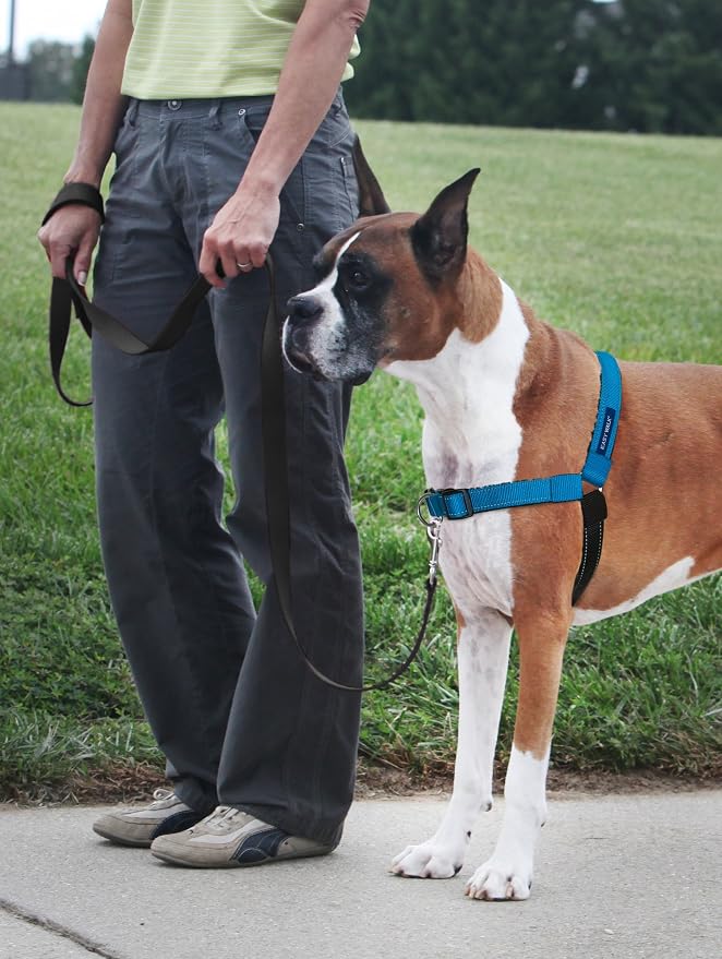 Petsafe Deluxe Easy Walk Harness, Small, Ocean Blue, Model:EWH-D-HC-S-OCN | Padded Neoprene Straps, Reflective Strips for Night Safety, Martingale Loop Curbs Pulling from the Chest, Not the Throat - Image 2