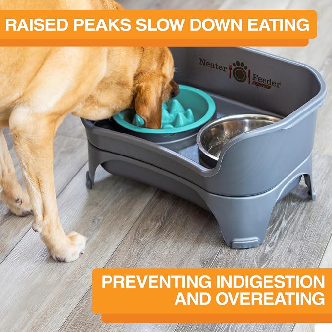 The Niner Slow Feed Bowl - Raised Peaks Slow Down Pets Eating - Fits Elevated Feeders Including Neater Feeder Large Sizes - Gentle on Teeth and Gums - Holds up to 2 Cups (Aquamarine) - Image 3