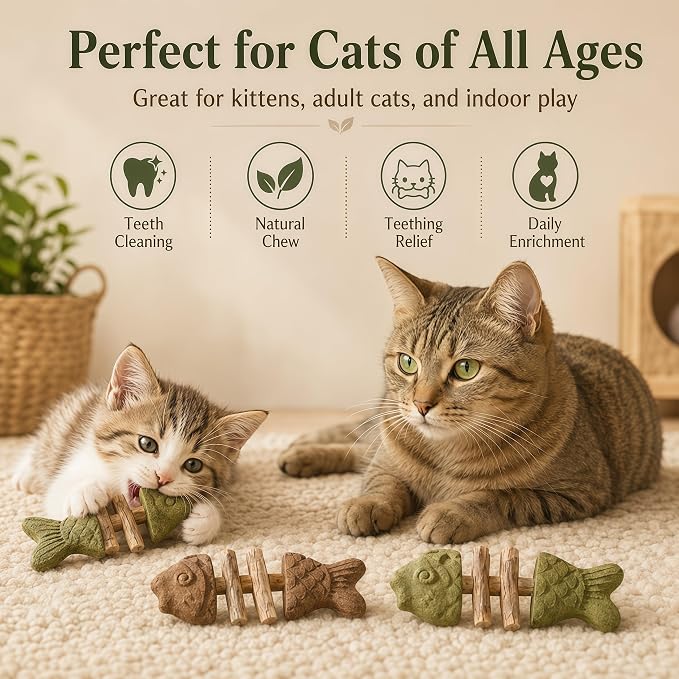 Catnip and Silvervine Chew Toy for Cats (3 PCS, Mixed Flavor) | Natural Fishbone Cat Dental Toy with Silvervine Sticks, Teeth Cleaning, Boredom Relief for Kittens & Adult Indoor Cats - Image 7