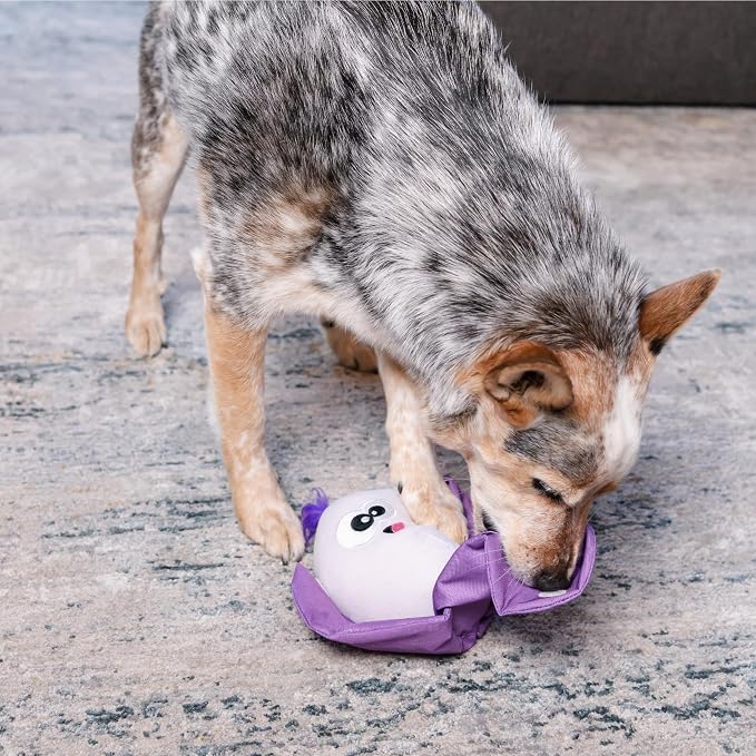 Outward Hound by Nina Ottosson Hide N' Find Interactive Plush Dog Puzzle, Durable Dog Toy, Plush Enrichment Toys, Cauliflower, Purple - Image 5