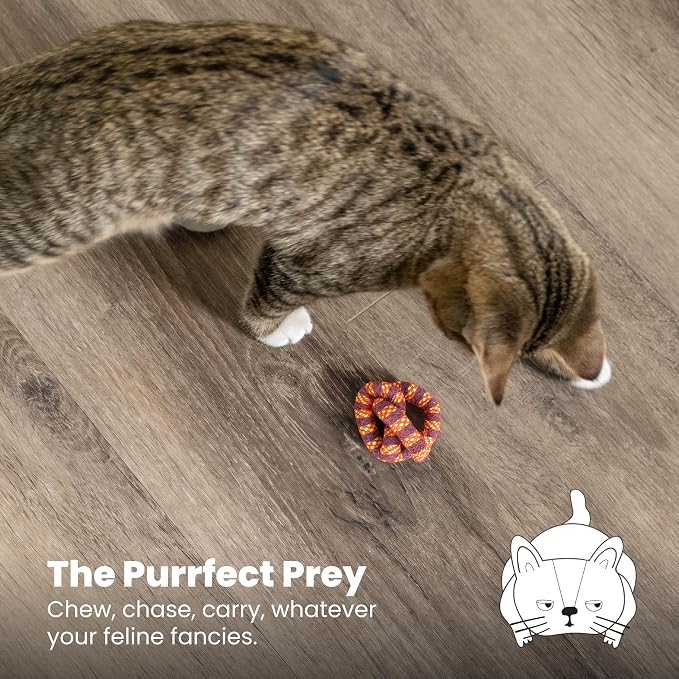 Catstages Catnip Plaque Away Pretzel Interactive Cat Dental Chew Toy, 2.8" | Multiple Textures Help Keep Teeth Clean & Massages Gums, Contains Catnip, Bat & Chase, Enrichment for Cats & Kittens - Image 6