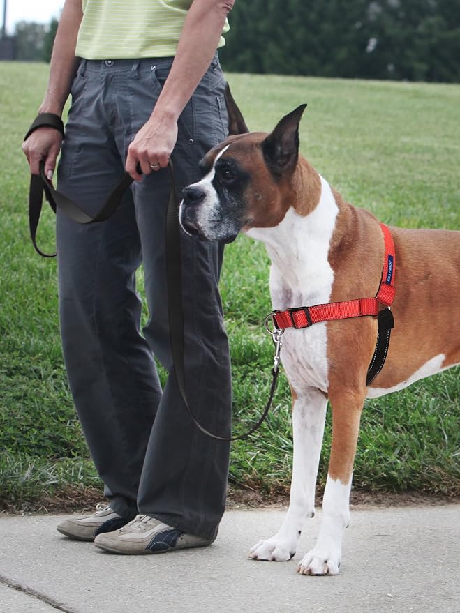 PetSafe Deluxe Easy Walk No Pull Dog Harness, Rose Pink, Small | Padded Neoprene Straps, Reflective Strips for Night Safety, Martingale Loop Curbs Pulling from the Chest, Not the Throat - Image 2