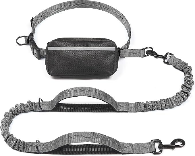 Hands Free Dog Leash with Zipper Pouch, Large, 25-120 lbs, Grey | Waist Leash, Dual Padded Handles, Shock-Absorbing Bungee, Adjustable Waist Belt, Walking and Running by iYoShop