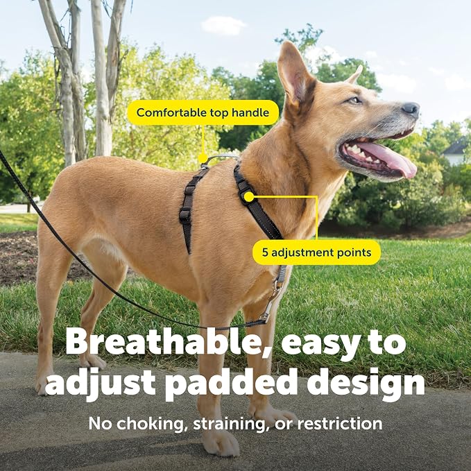 PetSafe 3 in 1 No-Pull Dog Harness - Walk, Train or Travel - Helps Prevent Pets from Pulling on Walks - Seatbelt Loop Doubles as Quick Access Handle - Reflective Accents - Medium, Black | Rests on Chest Not Throat to Reduce Pulling, 5 Adjustment Points... - Image 4