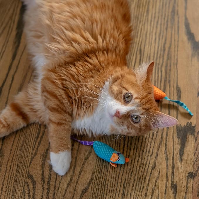 Catstages Catnip Chew Mice 2 Pack– Interactive Dental Cat Chew Toy that Helps Clean Teeth, Mouse, Multicolored - Image 8