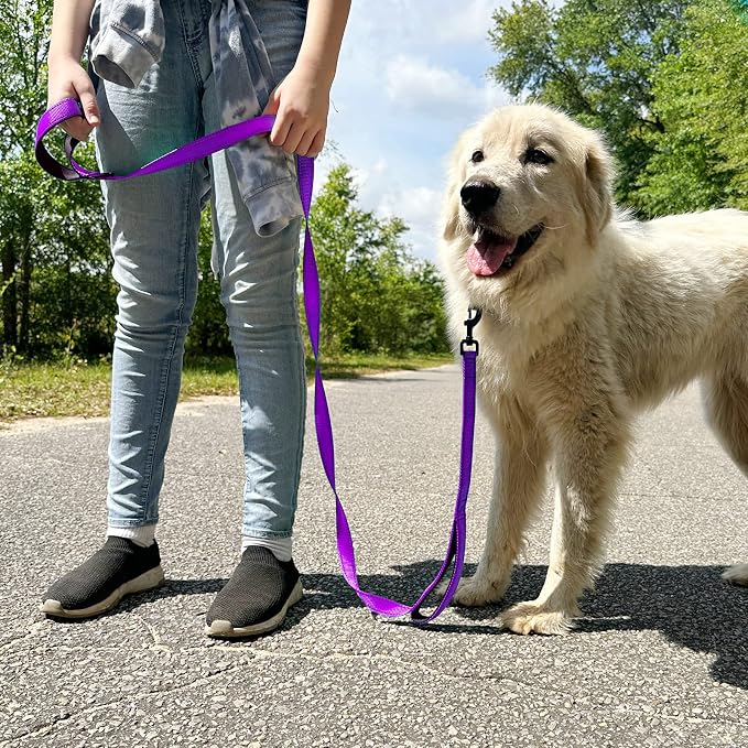 Joytale Dog Leash for Large Dogs that Pull, Double Handle, 4FT, Purple | Traffic Handle for Control, Padded Handle Reduces Hand Strain, Reflective Stitching for Night Safety, Strong Nylon Webbing - Image 7