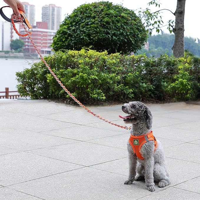 S-ETOVUS-Chain Dog Leash, Bite-Proof Metal Leash, with Padded Handle | Three Sizes 7.25FT/5.2FT/4FT, Woven From Nylon Rope And Chain, Durable And Bite-Resistant, Comfortable With Padded Handles - Image 7