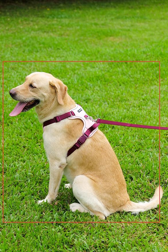 Dog Harness and Leash Set with Collar, No Pull Reflective Pet Vest Harness with Control Handle for Medium Large Dogs Walking and Training - Image 8