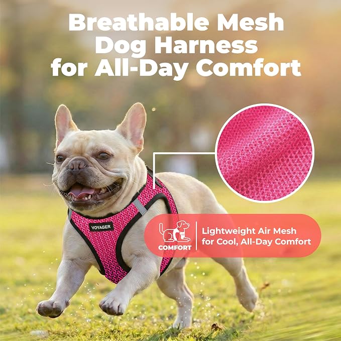 Voyager Step-in Air Dog Vest Harness - Fuchsia 2-Tone, Large | 18- 20.5" in Chest, Reflective Bands, All Weather Breathable Air Mesh, Cats Compatible, Lightweight, Fast Drying - Image 5