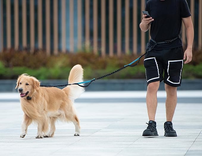 Hands Free Dog Leash with Zipper Pouch, Large, 25-120 lbs, Red | Waist Leash, Dual Padded Handles, Shock-Absorbing Bungee, Adjustable Waist Belt, Walking and Running - Image 6