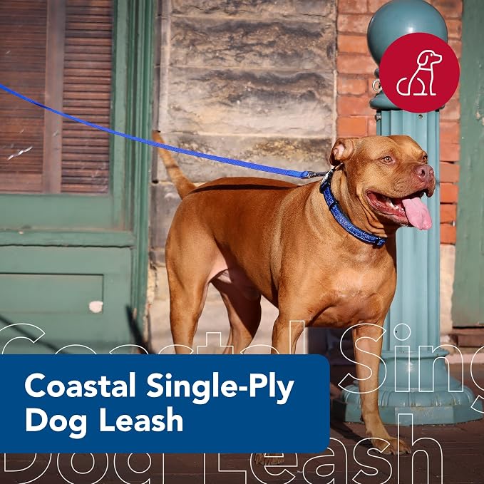 Coastal Pet Single-Ply Dog Leash - Sturdy Pet Leash - Comfortable & Stylish - Resists Fraying - Vibrant & Fade-Resistant Color - Teal, 3/8" x 6' - Image 2