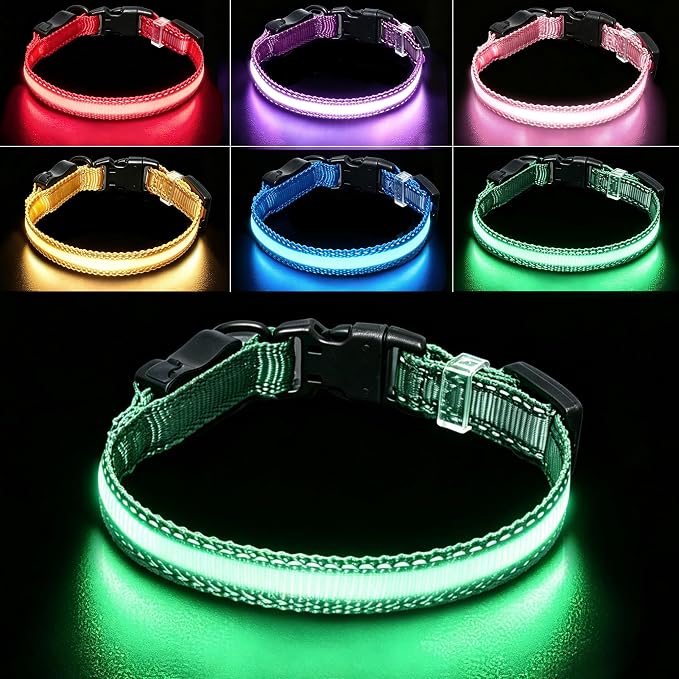 USB Rechargeable LED Dog Collar, Waterproof, Adjustable, Glowing, for Extra Small Dogs, Night Walking, Camping, Jogging, Green, XS (Neck 9-13", Width 5/8") by Aiminto-Alwaysyourgoodmate