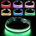 USB Rechargeable LED Dog Collar, Waterproof, Adjustable, Glowing, for Extra Small Dogs, Night Walking, Camping, Jogging, Green, XS (Neck 9-13", Width 5/8") by Aiminto-Alwaysyourgoodmate
