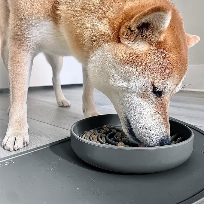 Should We Go? Slow Feeder Dog Bowls - Medium Size Silicone Slow Eating Dog Bowl for Puppies & Dogs with Suction Cup -Dishwasher-Safe,Lick Mat Design,Reduces Gulping,for All Breeds,7.5”x1.5”- Charcoal - Image 2