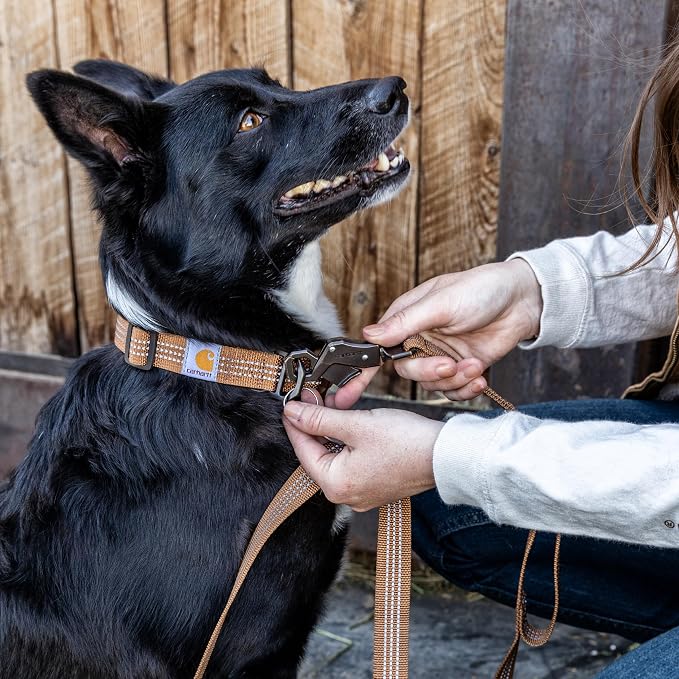 Carhartt Nylon Dual Handle Dog Leash Black L | Durable Nylon Webbing Fabric with Secure Metal Trigger Claw Clasp - Image 5