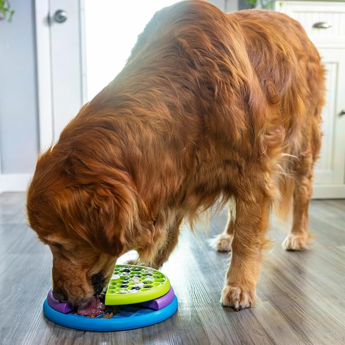 Outward Hound Nina Ottosson Lickin’ Layers 3-in-1 Dog Toy Treat Puzzle, 10" | Level 2 Intermediate, Interactive Slow Feeder, Lick Mat, Puzzle, Holds 2 Cups Food, Non-Slip Base, Enrichment, Dogs & Puppies - Image 8