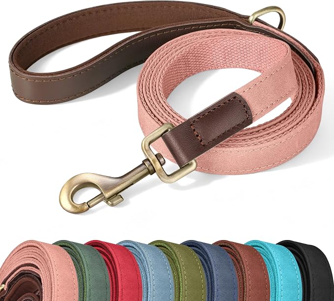 PU Leather Dog Leash for Medium Dogs, 5ft Soft Padded Handle, Pink | Comfortable Grip for Daily Walking Training, Full Control, Metal D-ring, Tangle-Free 360° Swivel Clasp, Easy to Clean, 3/4in by Didog